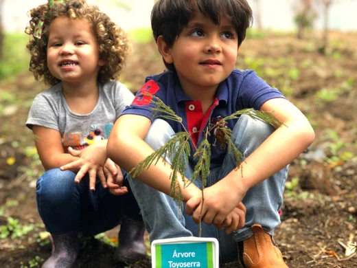 Crianças plantando mudas