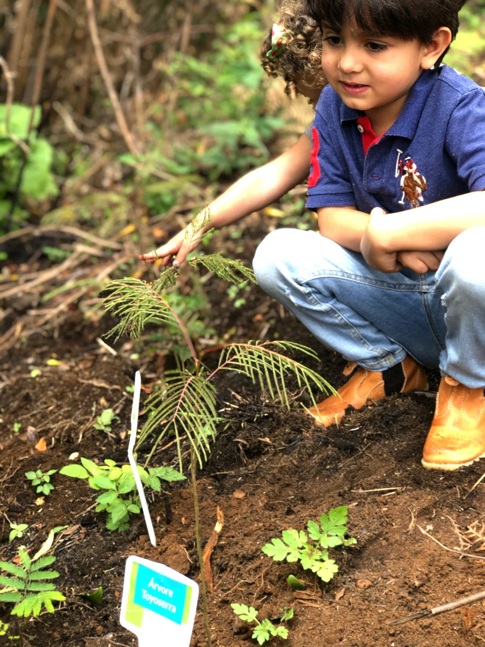 Criança plantando muda nativa